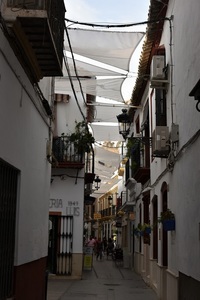 Calle Cinteria towards Plaza de España.