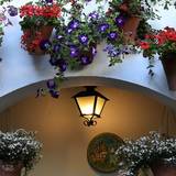 Cordoba Patio Festival (c) nupursworld.com