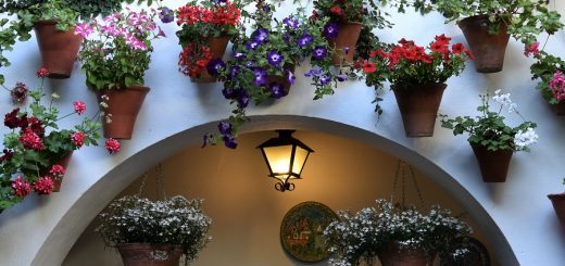 Cordoba Patio Festival (c) nupursworld.com