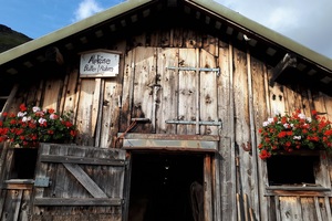 Cheese, butter and cream on sale here (c) nupursworld.com