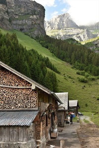 Majestic backdrop for cheese making operations (c) nupursworld.com