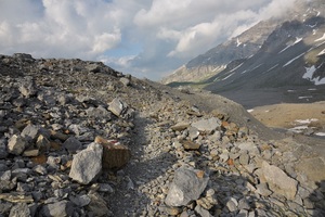 The white-red-white markers typical for Swiss hiking trails (c) nupursworld.com